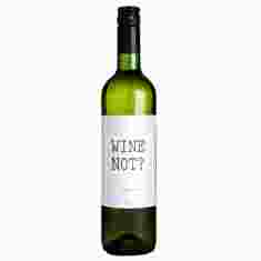Wijn | "Wine not?!" | Sauvignon Blanc